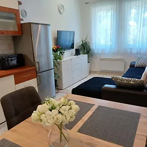 Springjoy Apartament